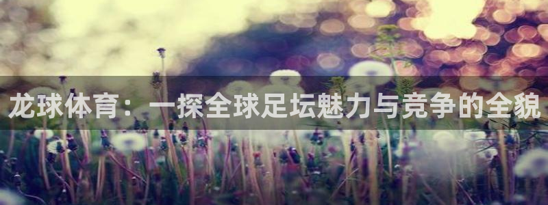 龙球体育：一探全球足坛魅力与竞争的全貌