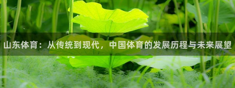 山东体育：从传统到现代，中国体育的发展历程与未来展望