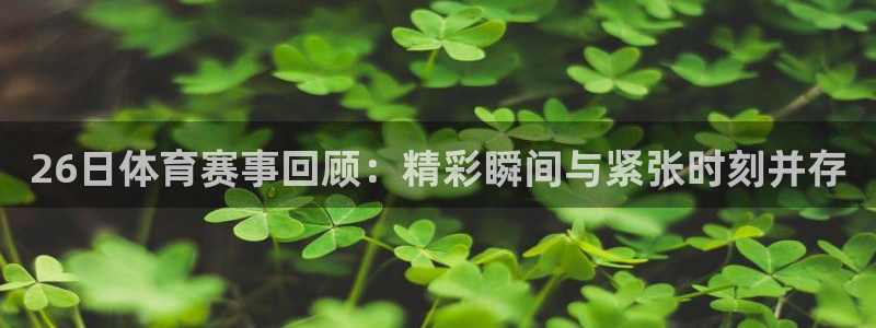 26日体育赛事回顾：精彩瞬间与紧张时刻并存