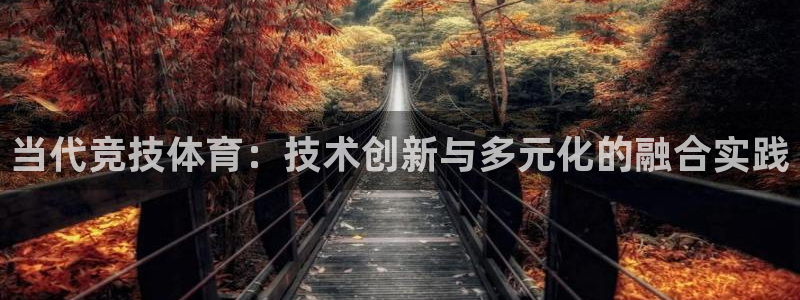 当代竞技体育：技术创新与多元化的融合实践