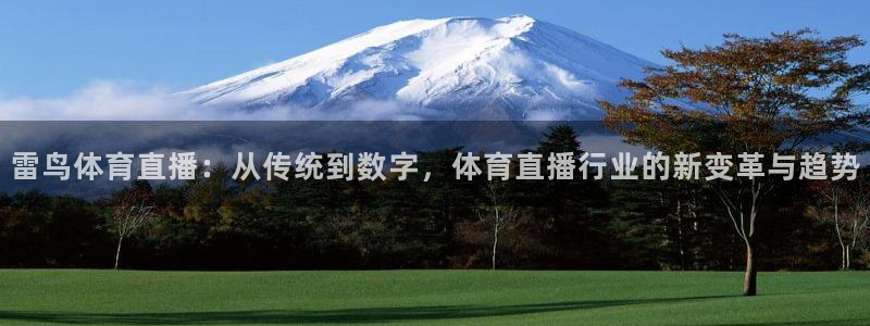 雷鸟体育直播：从传统到数字，体育直播行业的新变革与趋势