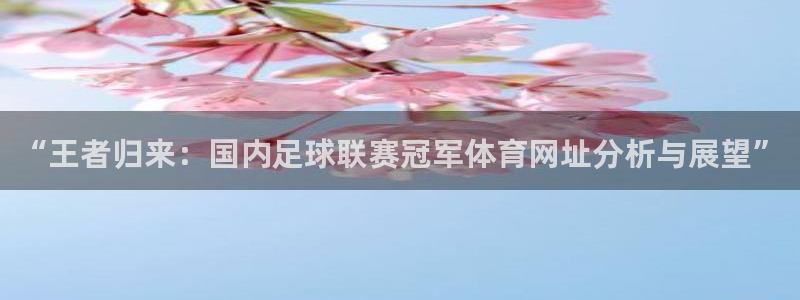 杏耀体育3在线注册：“王者归来：国内足球联赛冠军体育网址分析与展望”