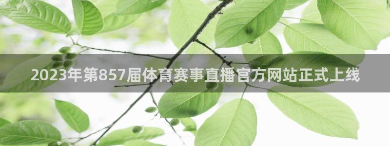 注册杏耀：2023年第857届体育赛事直播官方网站正式上线