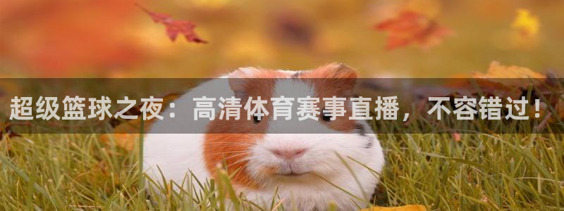 杏耀测速登录地址：超级篮球之夜：高清体育赛事直播，不容错过！