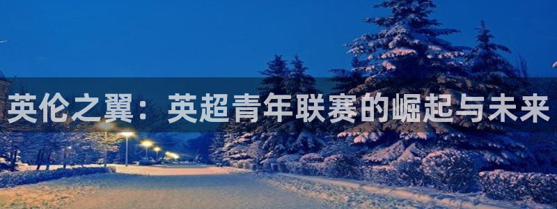 杏耀集团股票：英伦之翼：英超青年联赛的崛起与未来