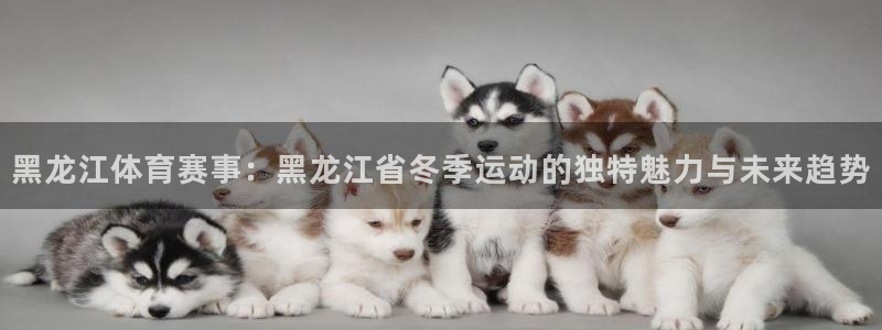 杏耀体育eon：黑龙江体育赛事：黑龙江省冬季运动的独特魅力与未来趋势