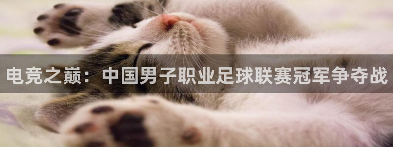 杏耀2平台：电竞之巅：中国男子职业足球联赛冠军争夺战
