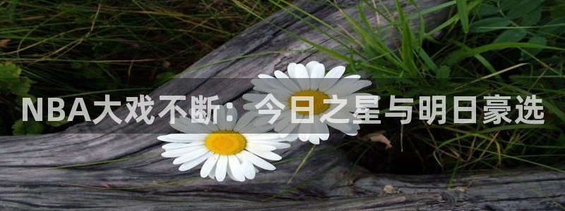 杏耀4开户：NBA大戏不断：今日之星与明日豪选