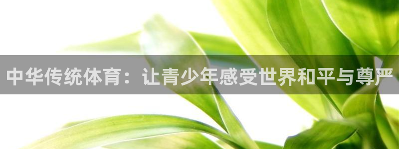 杏耀体育官网：中华传统体育：让青少年感受世界和平与尊严
