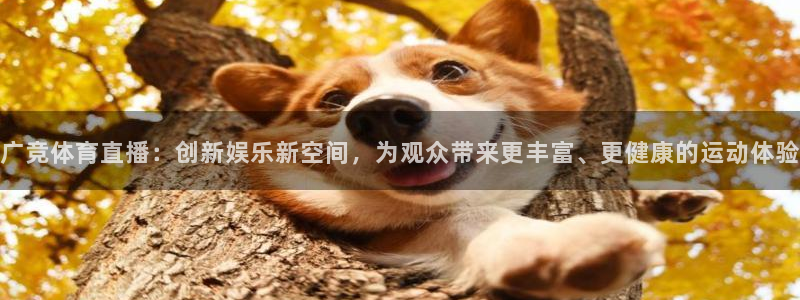 杏耀平台登录：广竞体育直播：创新娱乐新空间，为观众带来更丰富、更健康的运动体验